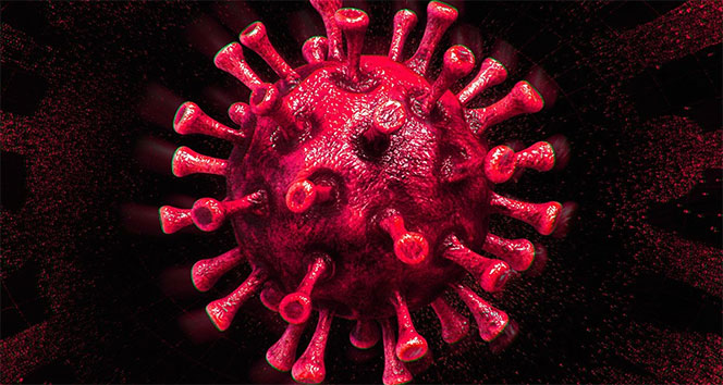 Türkiye’de son 24 saatte 8.642 koronavirüs vakası tespit edildi