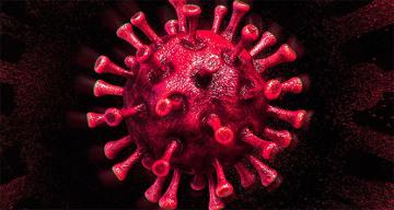 Türkiye’de son 24 saatte 9.193 koronavirüs vakası tespit edildi